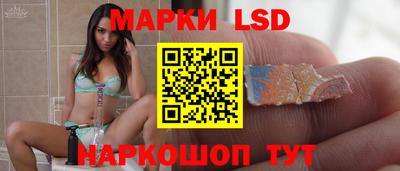 стаф Дубна