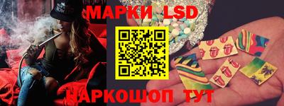 стаф Дубна