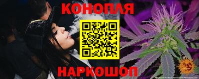 стаф Дубна